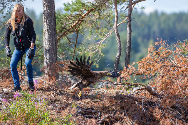 kuva: Olli-Pekka Karlin